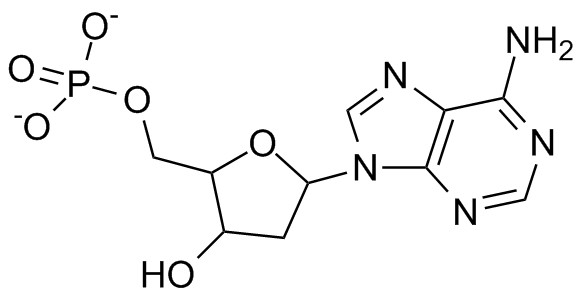 File:Deoxyadenosine monophosphate.png