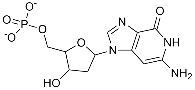 Deoxyguanosine monophosphate.png