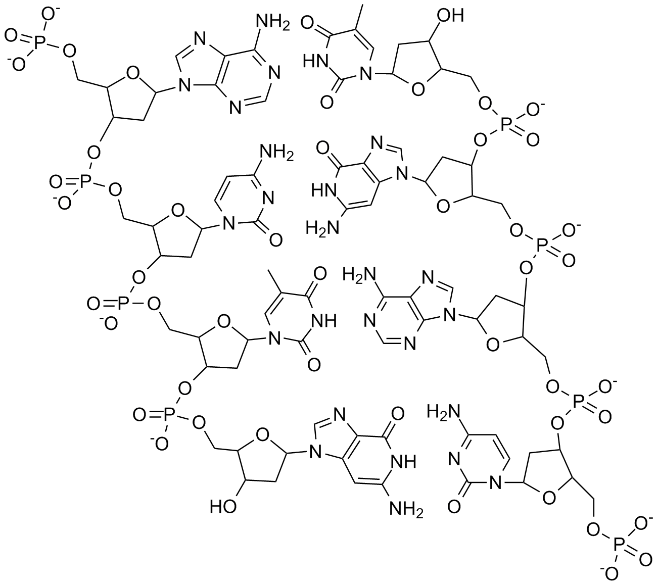 Double stranded DNA.png