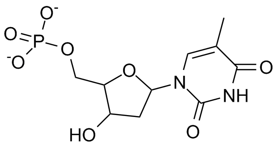 File:Thymidine monophosphate.png