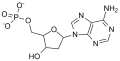 Deoxyadenosine monophosphate.png