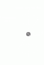 Precess.gif