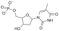 Thymidine monophosphate.png